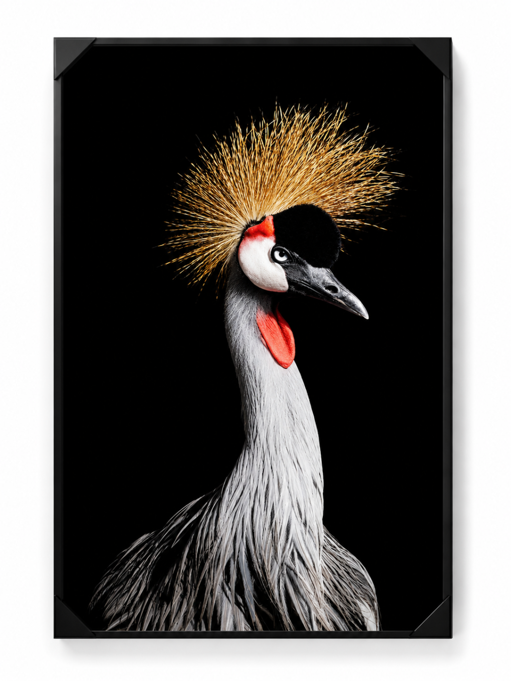 Quadro